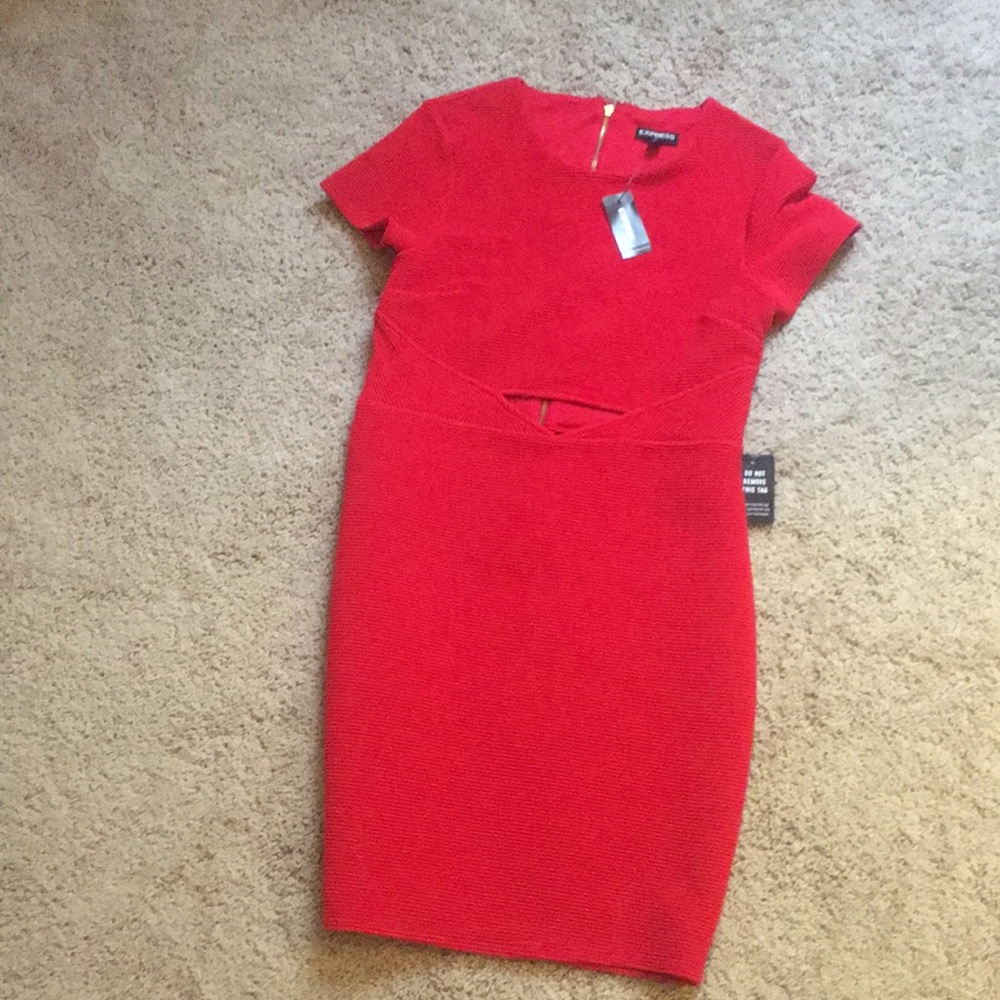 Red bodycon dress. Brand new with tags.